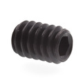 Prime-Line Socket Set Screw 1/4in-20 X 3/8in Black Oxide Coated Steel 25PK 9183673